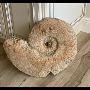 Beautiful ceramic glass seashell perfect accent to any coastal beach room